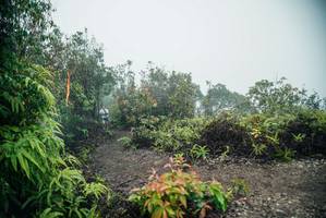 BIB: 
                            <button type="button" onclick="openModal(26272934)" class="btn btn-primary btn-sm float-right btn-popup" data-toggle="modal" data-target=".modal-high-quality">
                        <i class="fas fa-shopping-cart"></i> Add to Cart
                    </button>
                                            <button type="button" onclick="isThisMe(26272934, true)" class="btn btn-success btn-sm float-right btn-popup btn-isme hidden" data-toggle="tooltip" data-placement="bottom" title="นี่คือรูปของคุณใช่ไหม คลิกที่นี่เพื่อเอาเข้าอัลบั้ม">
                        <i class="fas fa-plus"></i> Add to album
                    </button>
                    <button type="button" onclick="isThisMe(26272934, false)" class="btn btn-warning btn-sm float-right btn-popup btn-isnotme hidden">
                        <i class="fas fa-ban"></i> Remove from album
                    </button>